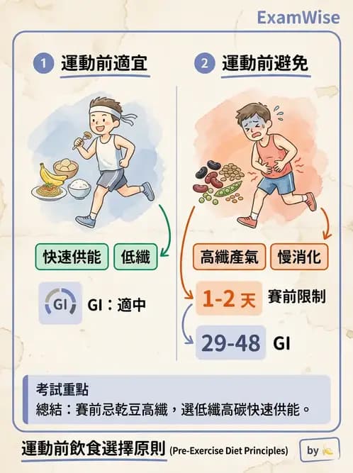 營養 - 當代營養學相關議題 - AI 圖文解析預覽