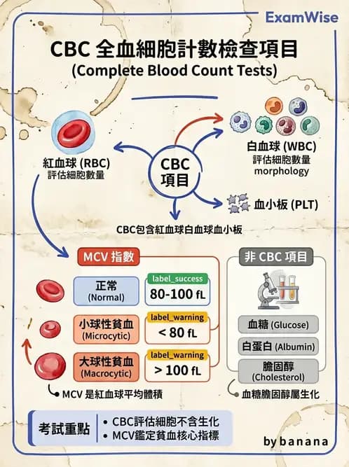 營養 - 生化指標與營養缺乏 - AI 圖文解析預覽