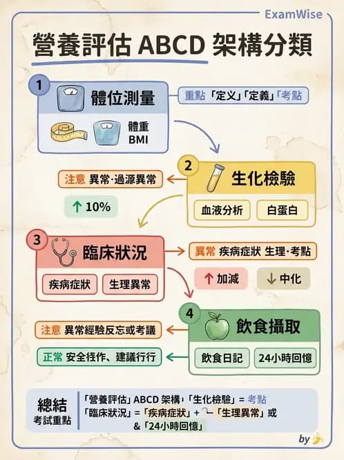 營養 - 營養評估與照護程序 - AI 圖文解析預覽