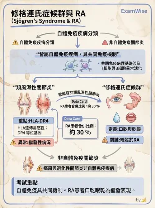 營養 - 骨骼與關節疾病 - AI 圖文解析預覽