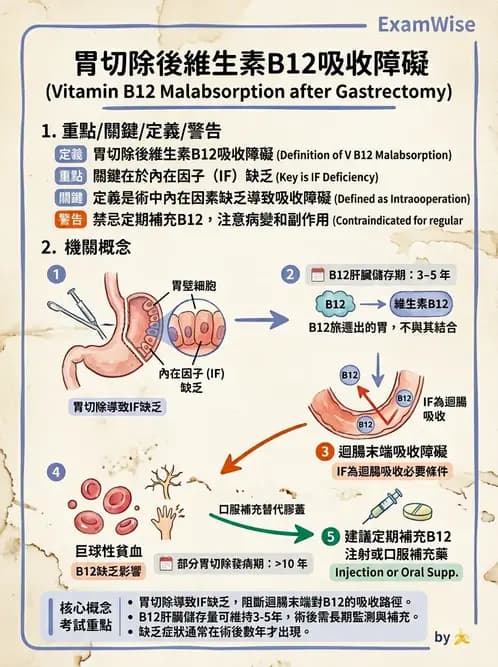 營養 - 腸胃道疾病 - AI 圖文解析預覽