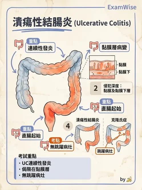 營養 - 腸胃道疾病 - AI 圖文解析預覽