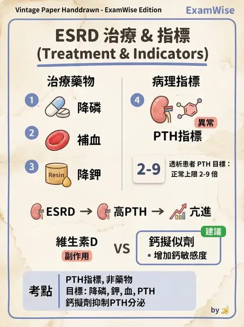 營養 - 腎臟疾病飲食治療 - AI 圖文解析預覽