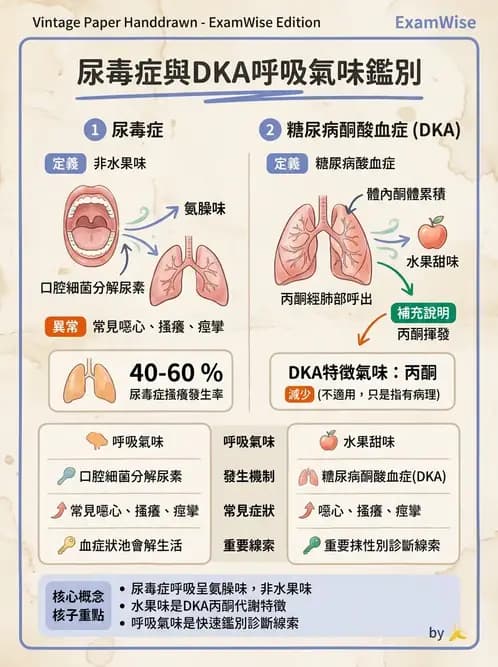 營養 - 腎臟疾病飲食治療 - AI 圖文解析預覽