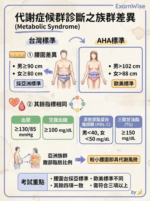 營養 - 糖尿病與代謝症候群 - AI 圖文解析預覽