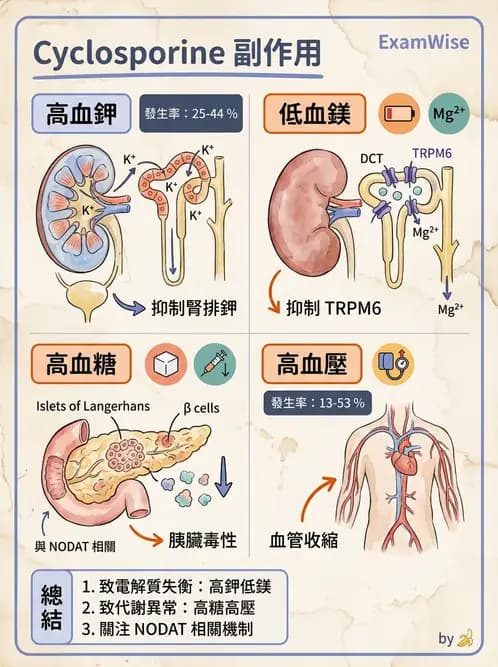 營養 - 心臟衰竭、移植與血脂管理 - AI 圖文解析預覽