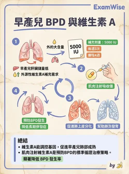 營養 - 嬰幼兒疾病營養 - AI 圖文解析預覽