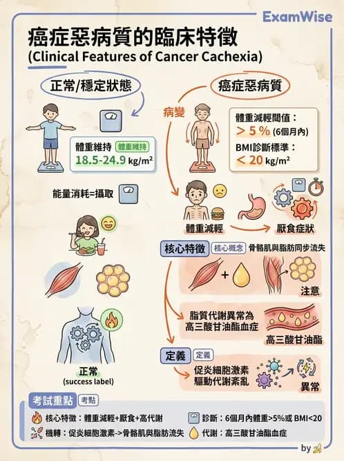 營養 - 癌症營養 - AI 圖文解析預覽