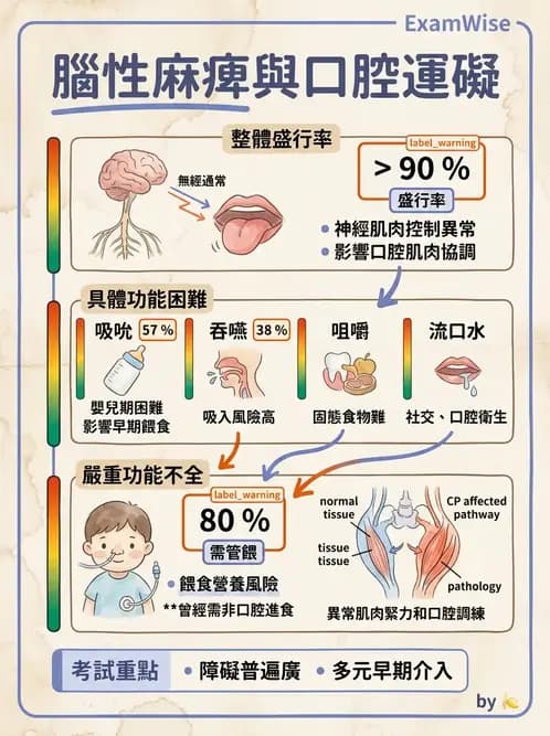 營養 - 嬰幼兒疾病營養 - AI 圖文解析預覽