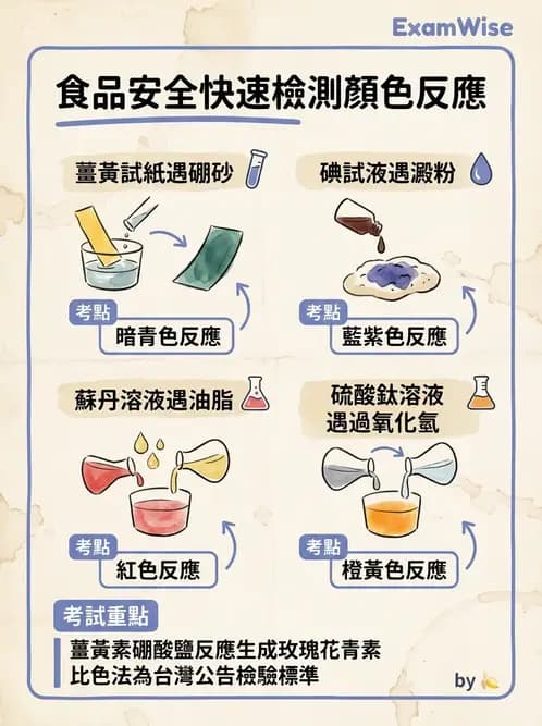 營養 - 食品安全衛生管理 - AI 圖文解析預覽