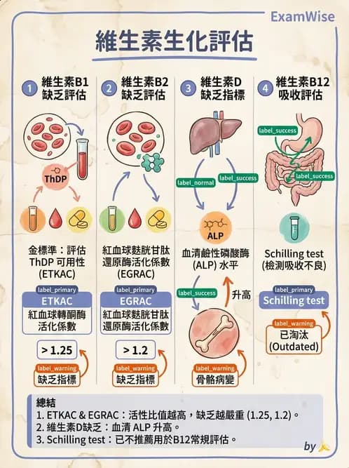 營養 - 生化指標與營養缺乏 - AI 圖文解析預覽