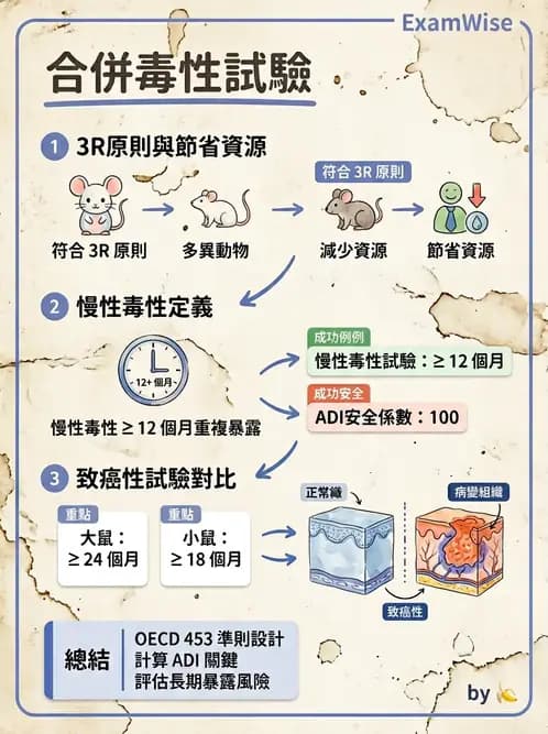 營養 - 食品安全性評估 - AI 圖文解析預覽