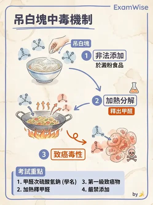 營養 - 化學性危害 - AI 圖文解析預覽