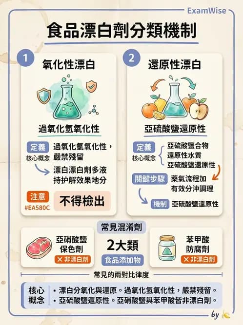 營養 - 食品添加物 - AI 圖文解析預覽