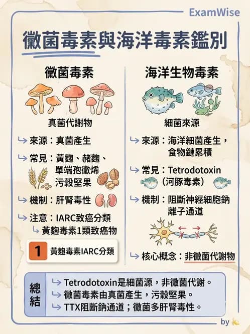 營養 - 天然毒素 - AI 圖文解析預覽
