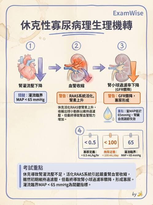 護理師 - 泌尿系統 - AI 圖文解析預覽