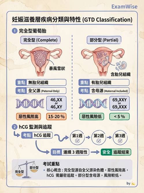 護理師 - 女性生殖系統及乳房 - AI 圖文解析預覽