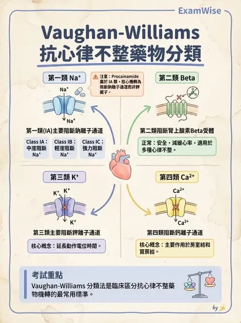 護理師 - 心臟藥物與抗血栓劑 - AI 圖文解析預覽