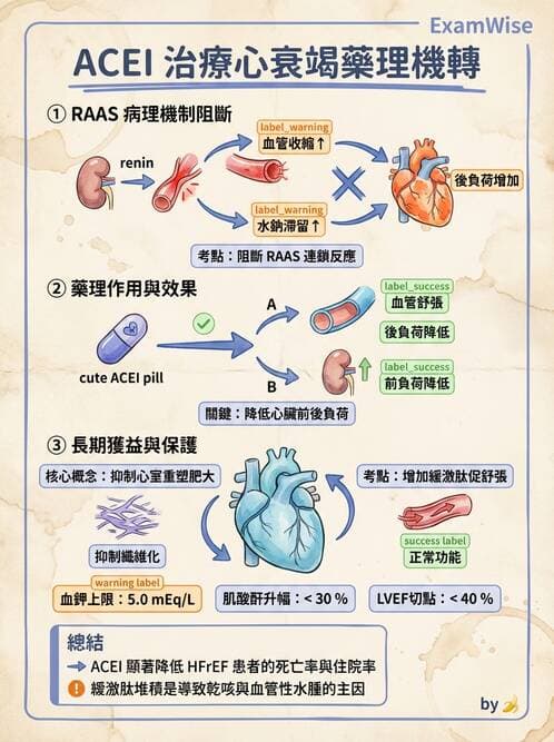 護理師 - 抗高血壓與血管藥物 - AI 圖文解析預覽
