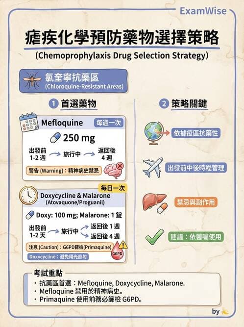 護理師 - 抗感染藥物 - AI 圖文解析預覽