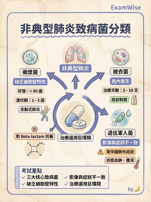 護理師 - 革蘭氏陽性細菌 - AI 圖文解析預覽