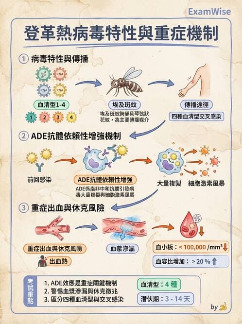 護理師 - RNA 病毒、新興病毒 - AI 圖文解析預覽