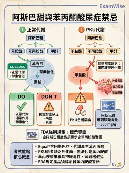 營養 - 當代營養學相關議題 - AI 圖文解析預覽