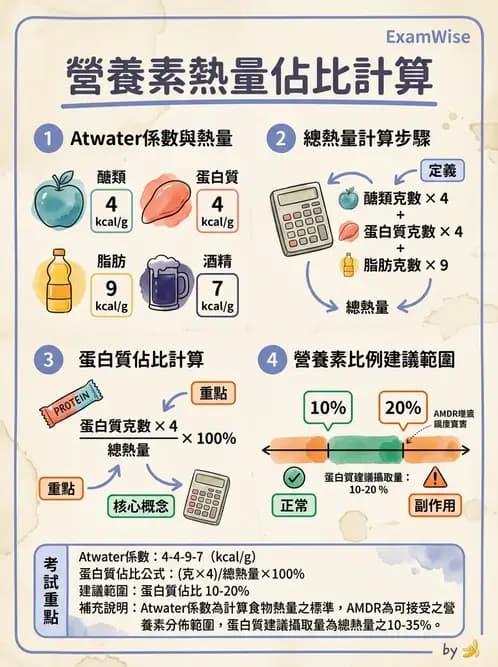 營養 - 蛋白質結構、功能與需求量 - AI 圖文解析預覽