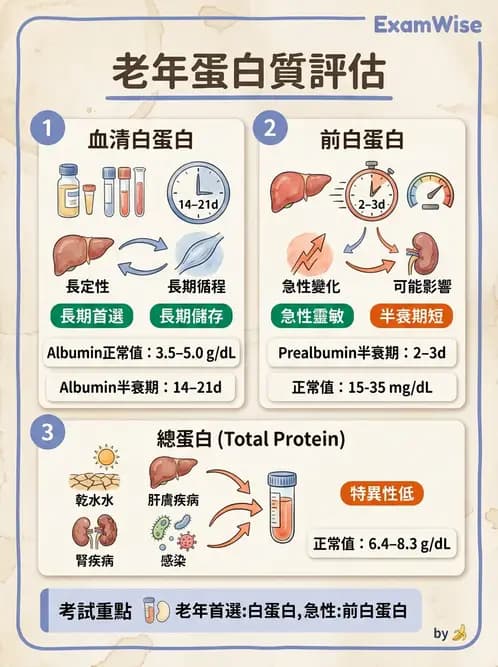 營養 - 生化指標與營養缺乏 - AI 圖文解析預覽