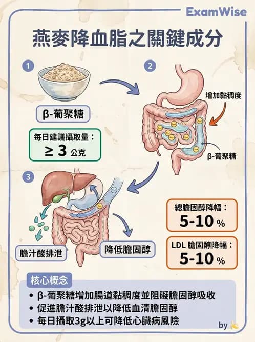 營養 - 當代營養學相關議題 - AI 圖文解析預覽