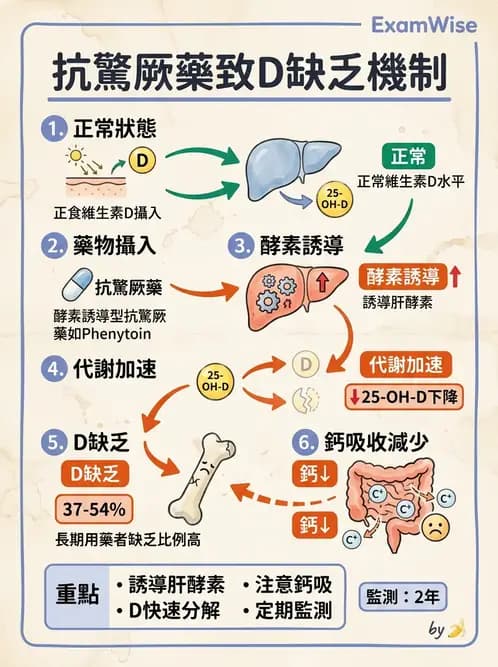 營養 - 藥物與營養素交互作用 - AI 圖文解析預覽