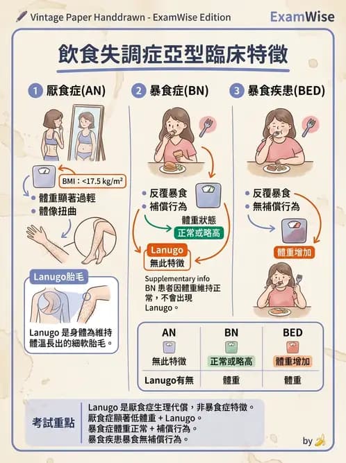 營養 - 體重管理與攝食異常 - AI 圖文解析預覽