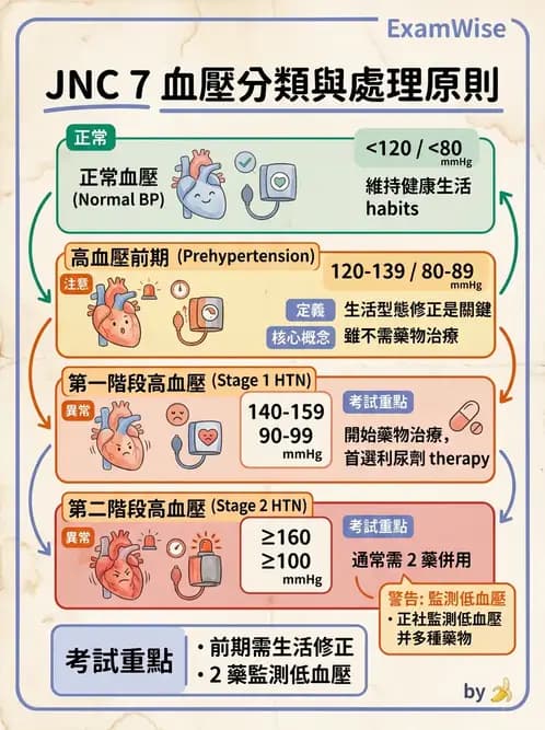 營養 - 高血壓與心血管保護飲食 - AI 圖文解析預覽