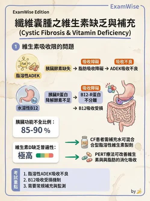 營養 - 嬰幼兒疾病營養 - AI 圖文解析預覽