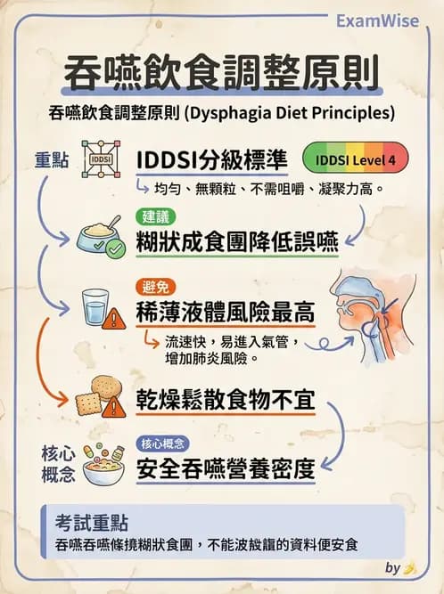 營養 - 老人營養與長期照護 - AI 圖文解析預覽