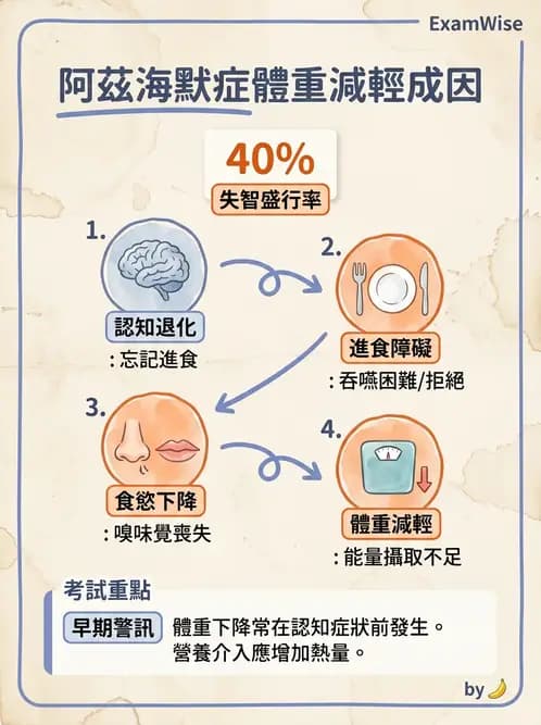 營養 - 老人營養與長期照護 - AI 圖文解析預覽