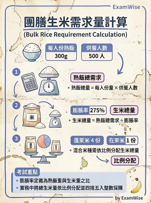 營養 - 食材用量計算與食物代換 - AI 圖文解析預覽