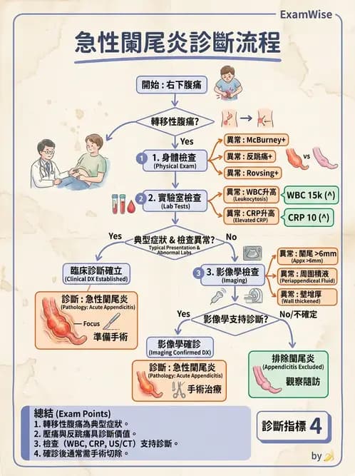 營養 - 採購方法與供應商管理 - AI 圖文解析預覽