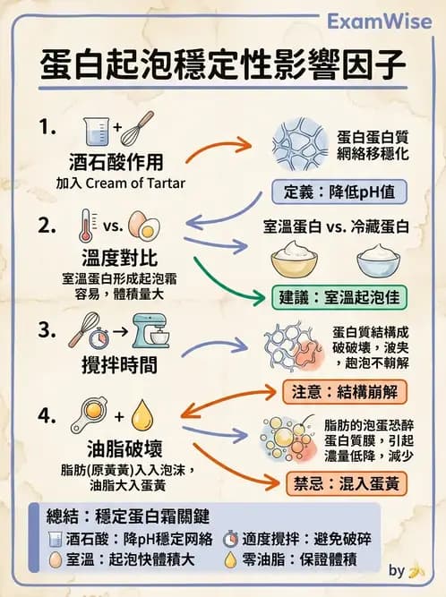 營養 - 動植物性食材製備原理 - AI 圖文解析預覽