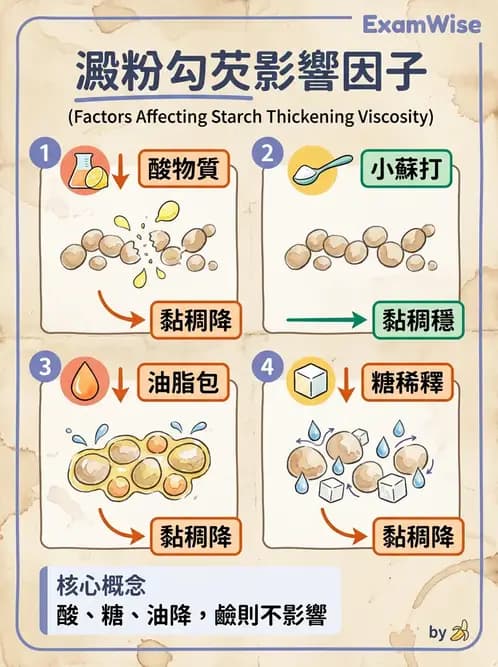 營養 - 穀類、澱粉與麵粉製備原理 - AI 圖文解析預覽