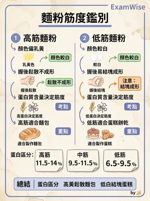 營養 - 穀類、澱粉與麵粉製備原理 - AI 圖文解析預覽