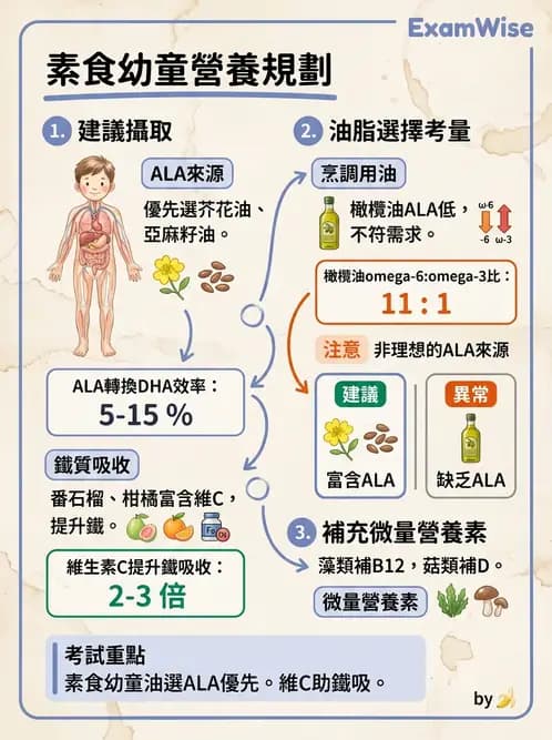 營養 - 嬰幼兒營養 - AI 圖文解析預覽