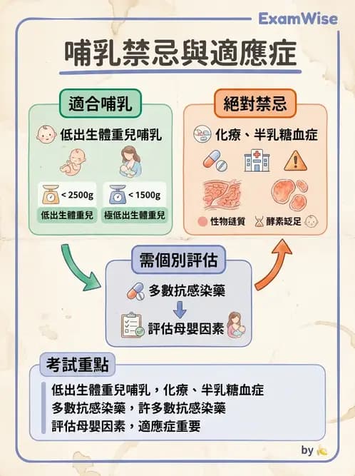 營養 - 母嬰與兒童營養政策 - AI 圖文解析預覽