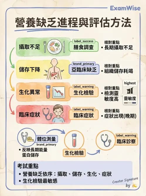 營養 - 生化指標與營養缺乏 - AI 圖文解析預覽