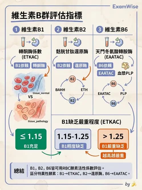 營養 - 生化指標與營養缺乏 - AI 圖文解析預覽