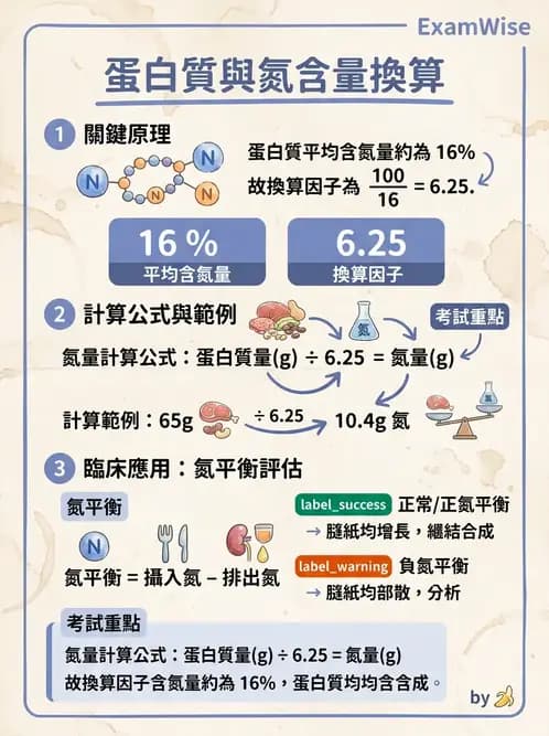 營養 - 生化指標與營養缺乏 - AI 圖文解析預覽