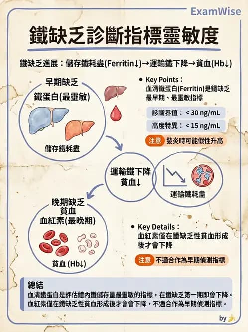 營養 - 生化指標與營養缺乏 - AI 圖文解析預覽