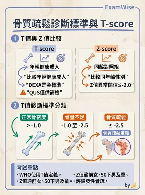 營養 - 體位評估 - AI 圖文解析預覽