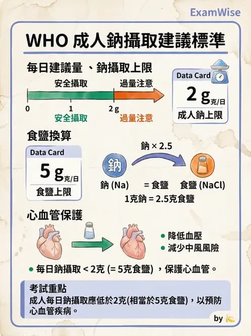 營養 - 國際營養議題與糧食安全 - AI 圖文解析預覽