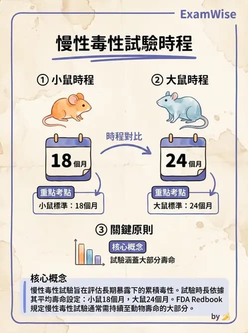 營養 - 食品安全性評估 - AI 圖文解析預覽